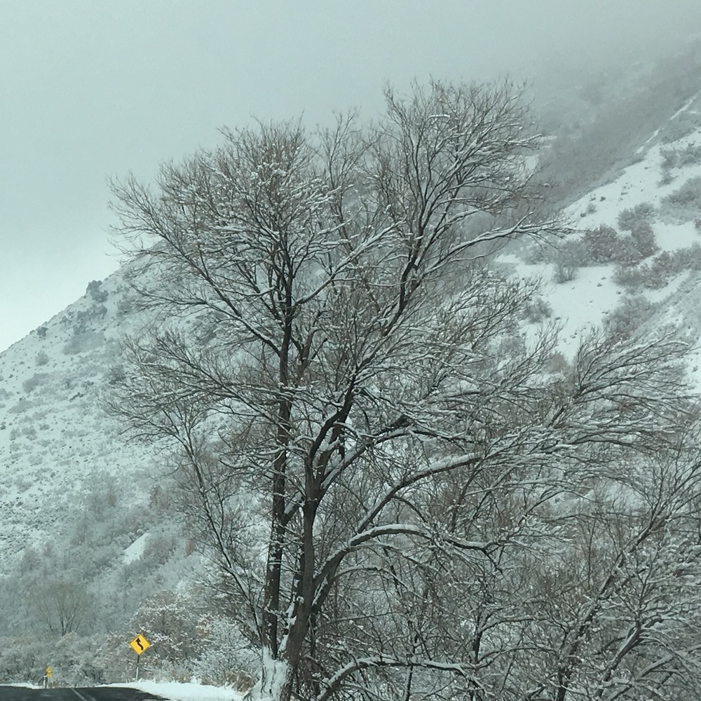 For @patricia_dowgan